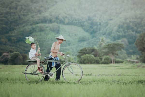 CambogiaTWE