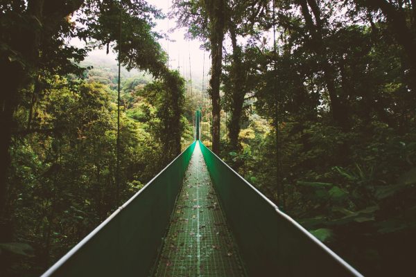 TWE_COSTARICA(3)