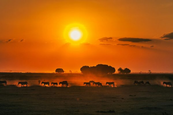 TWE_KENYAESSENTIAL