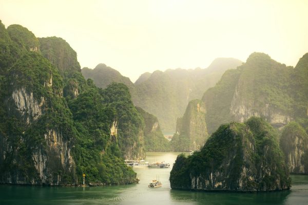 TWE_VIETNAM