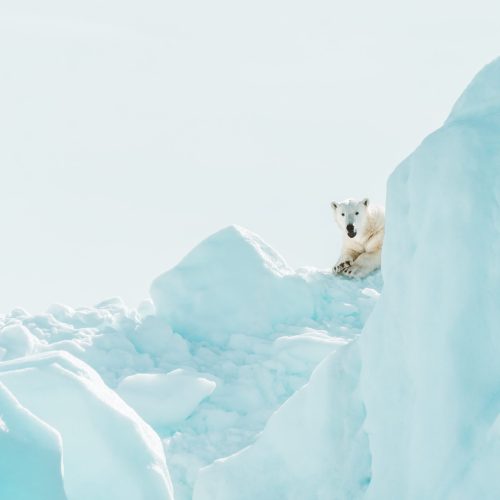 TWE signs the Glasgow Climate Declaration