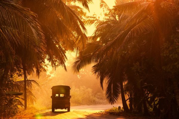 anteprima copertina viaggio