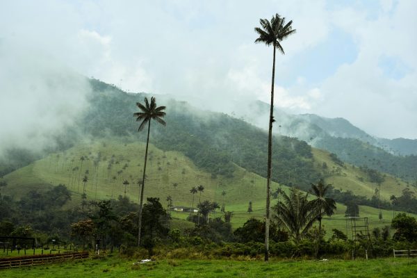 pexels-jess-londono-47825207-15699902