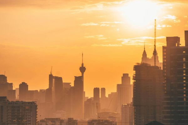 pexels-vincent-gerbouin-445991-3050018