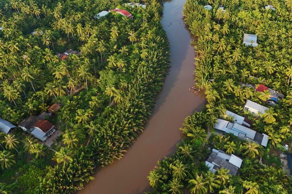 Beautiful,Aerial,View,Of,Mekong,Delta,Countryside,,Coconut,Land,With