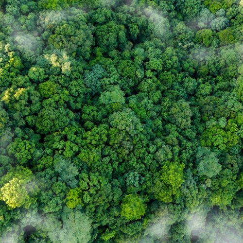 Travel World Escape rinnova la certificazione Travelife: un impegno concreto per un turismo sostenibile